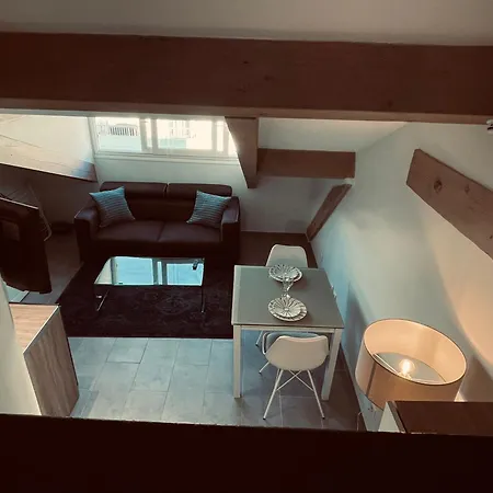 Duplex Elegant Au Coeur De * ניס