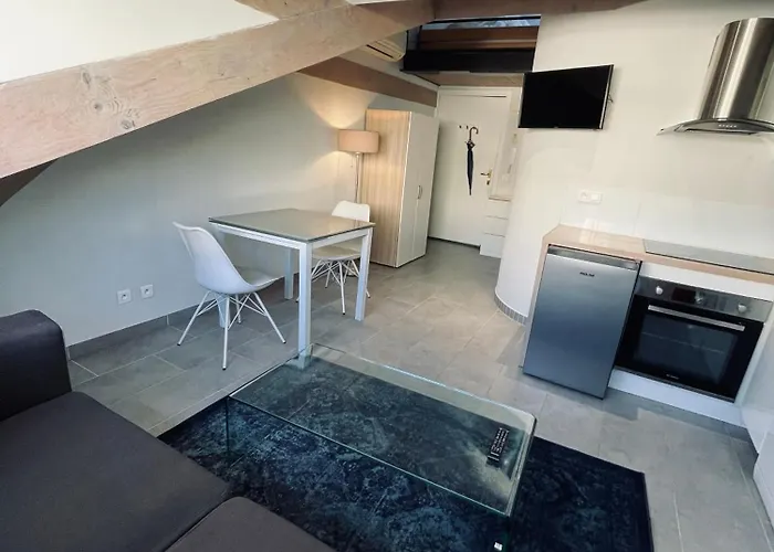 Duplex Elegant Au Coeur De