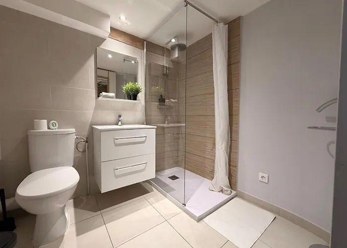 Duplex Elegant Au Coeur De 公寓