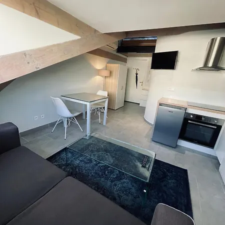 Duplex Elegant Au Coeur De