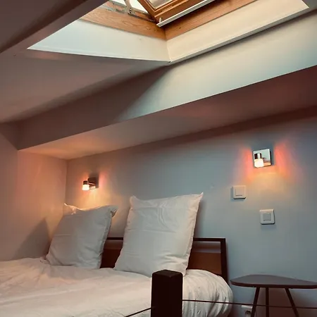 Duplex Elegant Au Coeur De